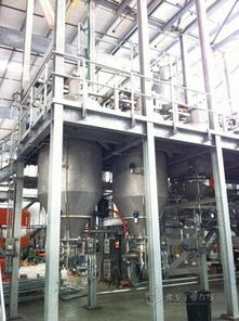 松原添加劑技術(shù)美洲公司美國休斯敦一站式系統(tǒng)工廠正式投產(chǎn)，深化全球技術(shù)布局